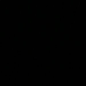 Meet your Posher, Sonya